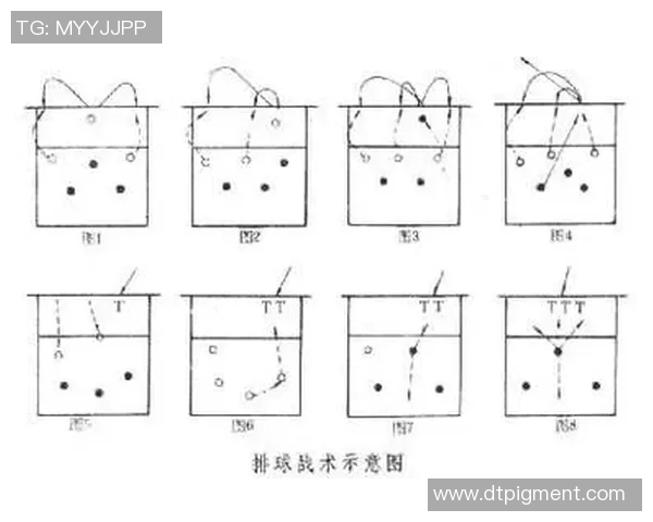 成都排球队的转换打法深度分析与战术创新探讨