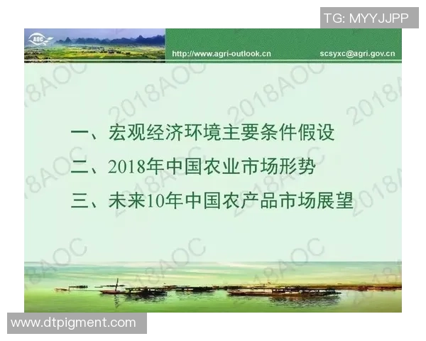 建业足球的历史传承与发展现状分析及未来展望